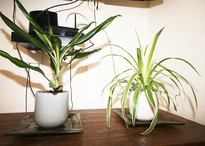 דירה Prime Oceanfront *